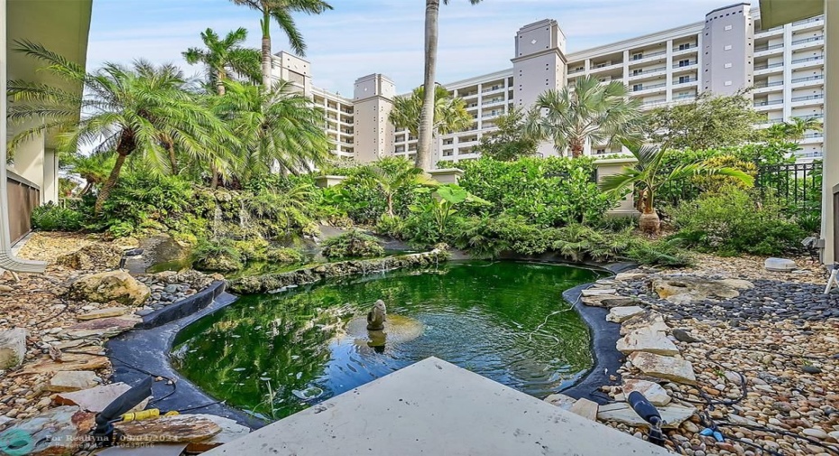 Koi pond at entrance