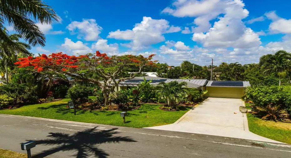 Meticulous front yard landscaping.