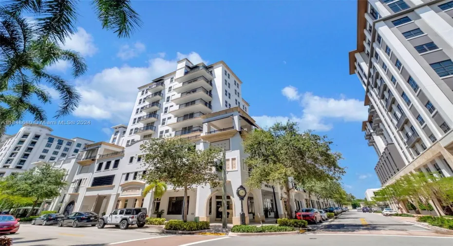 LOVELY CORAL GABLES STREET