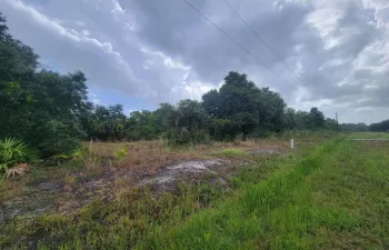 Land For Sale