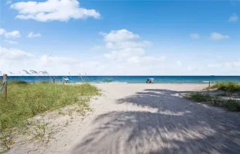 The Beach at the end of the street