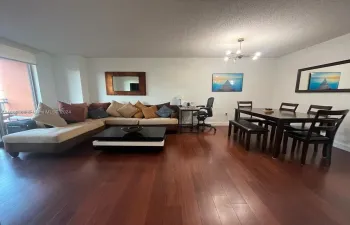 Living/dining area