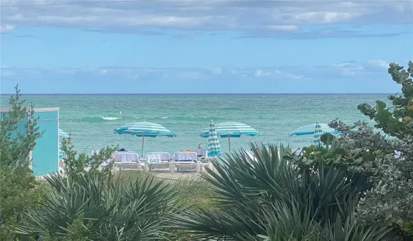                                   Carillon Miami Beach is an oceanfront gem!