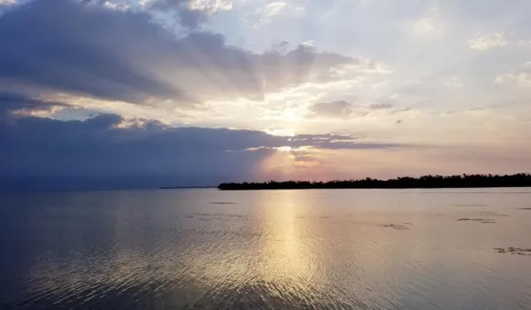 Summer water view