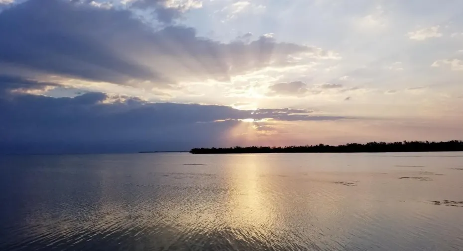 Summer water view