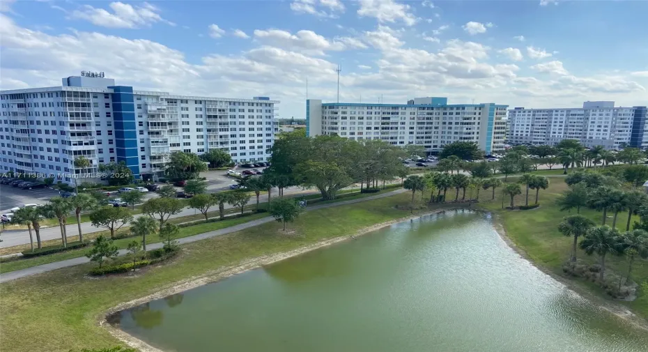 View from the Balcony