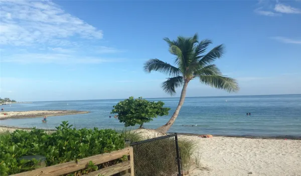 Sombrero Beach 250 steps from home.