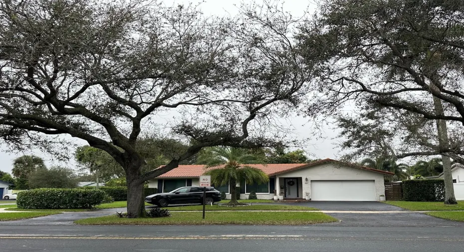 Mature Oak Tree Lined Street