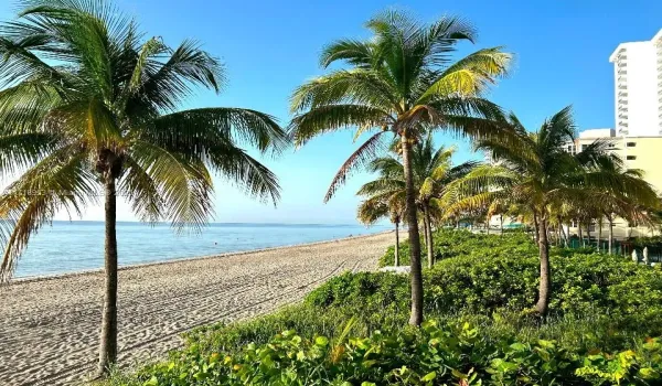 ENDLESS BEACH VIEWS LOOKING SOUTH