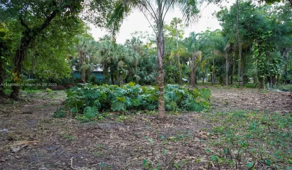 385 Caloosa Drive, LaBelle, FL 33935 - .38 acre home site