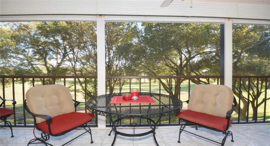 Screened-In patio