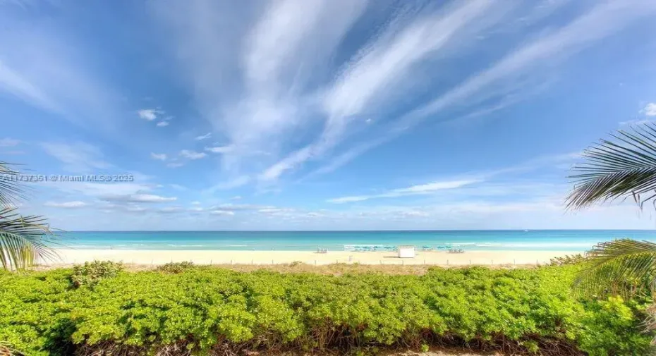 white sand Beach