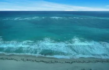 Ocean
