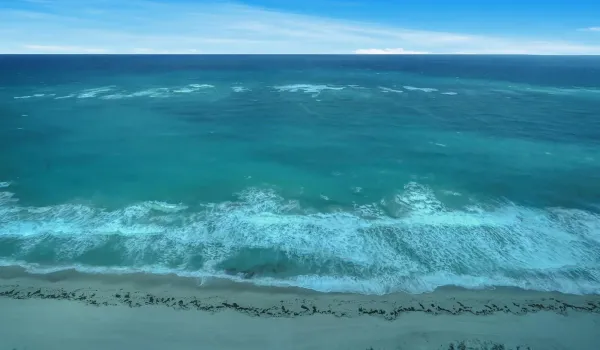Ocean