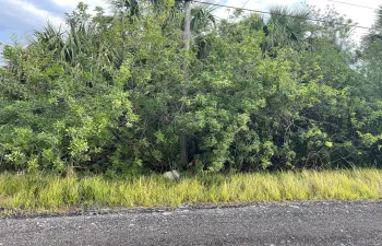 Land For Sale