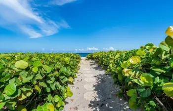 Beach Path