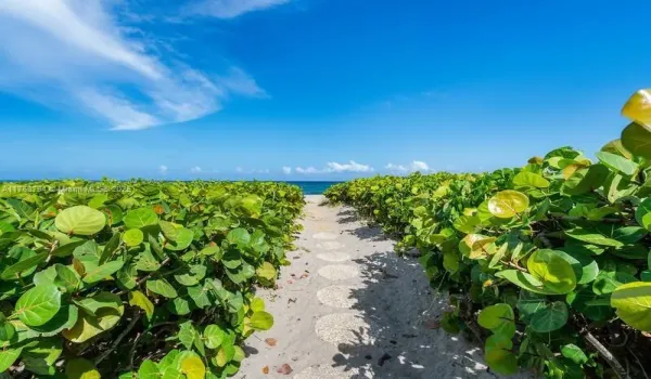 Beach Path