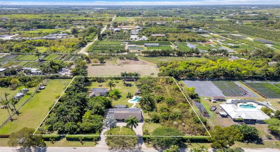 TREE LIST FOR THE PROPERTY