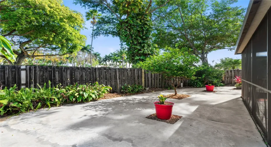 Beautiful Backyard