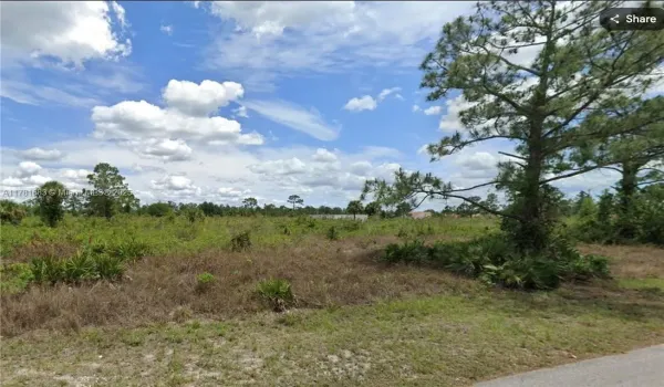 View of local wilderness