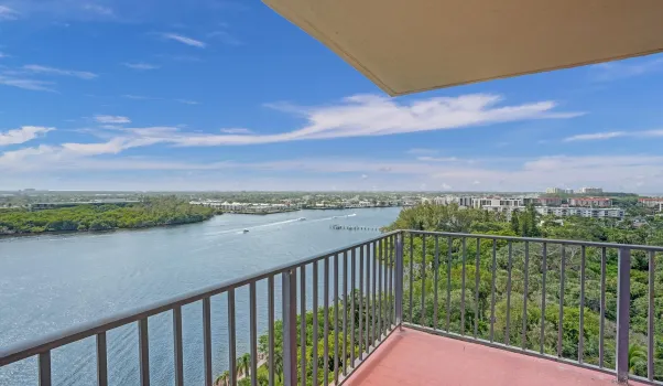 view