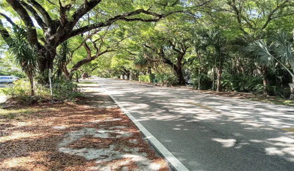 Le Jeune Road